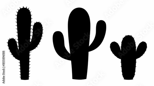 Three distinct saguaro cactus silhouettes with visible spikes stand upright on a white background.
