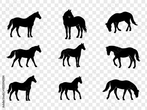 Minimalist vector illustration featuring a large collection of black horse silhouettes in diverse poses, including standing, walking, resting, and mare-with-foal scenes. Clean solid shapes with smooth