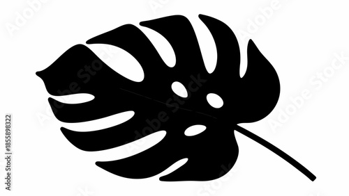 A bold black silhouette of a tropical monstera leaf on a white background.