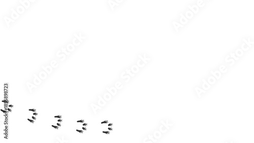 Footprints of Forest Animal, Traces of a Squirrel. Cartoon  funny paws along the path. Footprints walking animal on a trajectory of movement. Paw trail prints of Squirrel. Animated Video