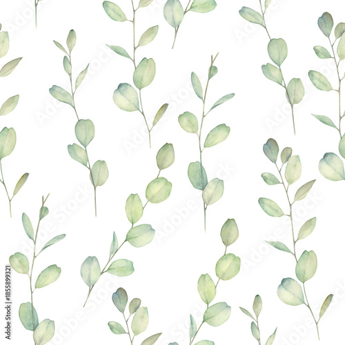 Watercolor seamless pattern with eucalyptus branches . Hand drawn illustration on white background