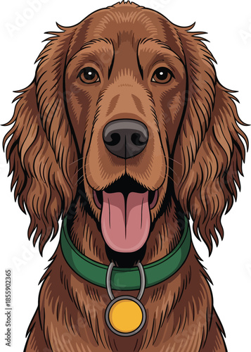  Cute cartoon a illustrator vector Irish Setter