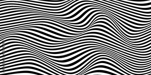Black and white abstract curved lines. Modern vector background. Vector eps10