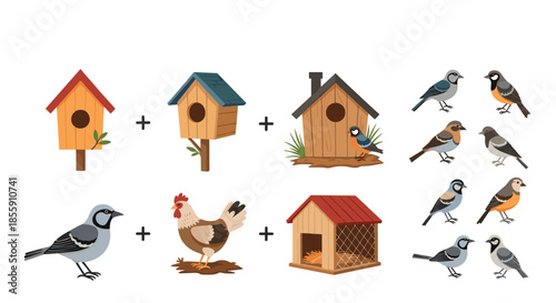 Educational matching game or sticker set for children featuring various birds birdhouses a chicken and a chicken coop vector.