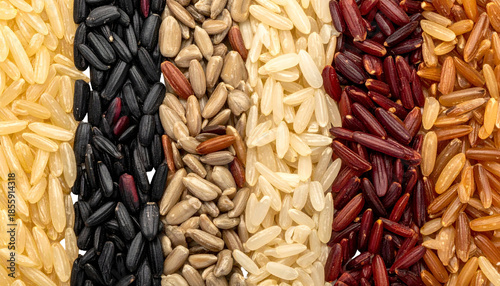 Assortment of grains, nuts and seeds in vertical stripes, top-down view