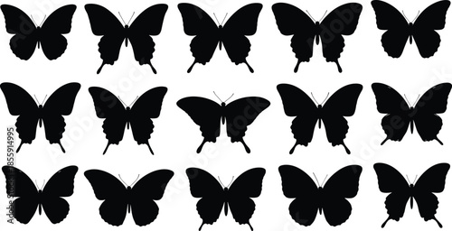 Black butterfly silhouette grid with one unique wing shape, visual puzzle for pattern recognition, symmetry, and frontal insect view illustration
