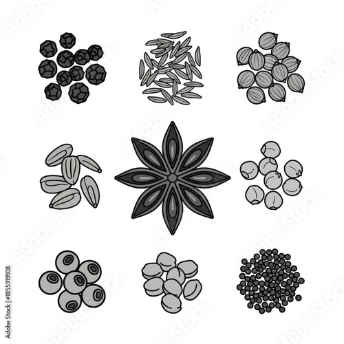 Assorted Seeds and Nuts Displayed in a Symmetrical Pattern for Culinary or Botanical Purposes