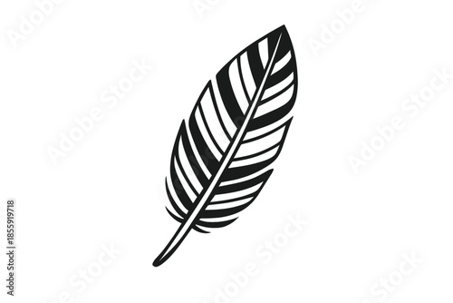Dark feather with soft shadow on a gradient background