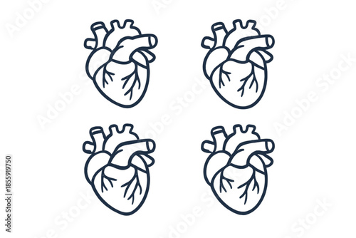 Four anatomically correct heart outlines on a grey background