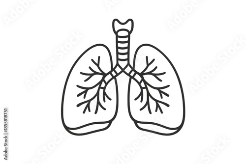 Human Lungs Icon