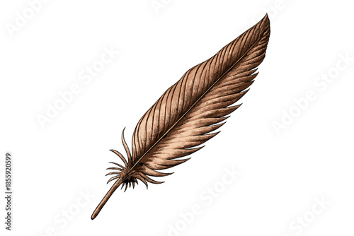 Sepia Feather Isolated on Gradient Background