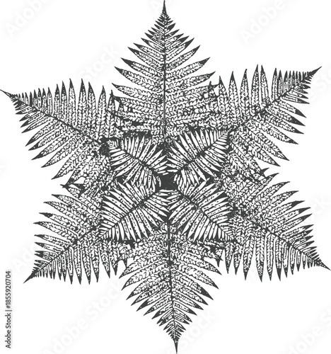 Black and White Fern Frond Star Mandala Vector Illustration Vintage Engraving Style Botanical Symmetrical Design