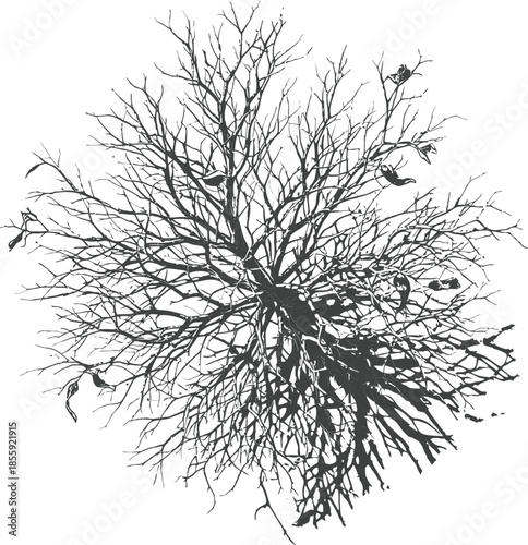 Detailed Grunge Style Black and White Tree Branch Pattern Silhouette
