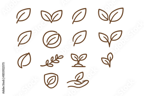 Organic leaf icons on a gradient background