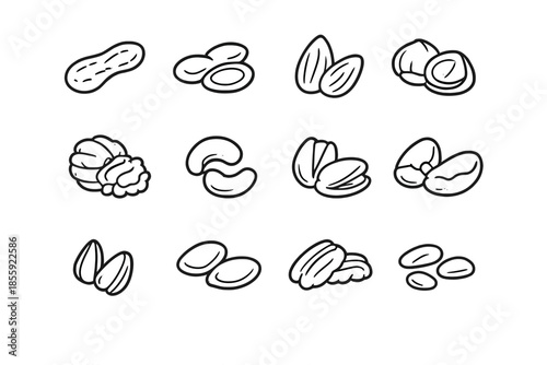 Collection of hand-drawn nuts on a gray background