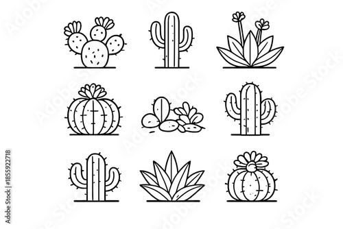 Collection of nine minimalist white cactus icons on a dark gray background