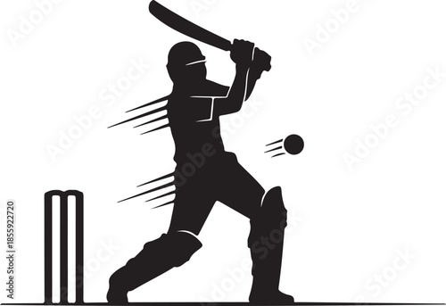  Cricket player batting pose, black shadow silhouette vector, sports action.