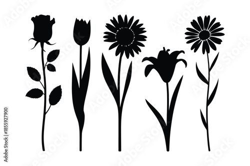 Hand drawn flower silhouette set with rose and sunflower