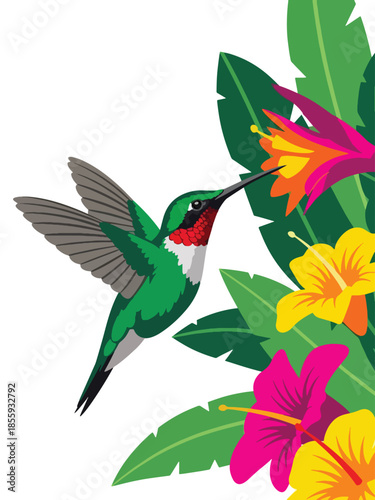 Modern vector illustration of close up hummingbird hovering near flower, flat style tropical wildlife portrait, ideal for nature and garden visuals