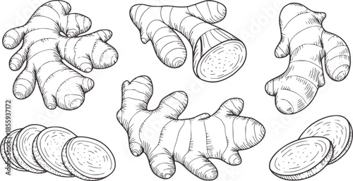 Black and white line of fresh ginger root clusters and sliced pieces