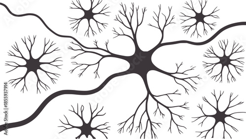 Black silhouette neuron cells with branching dendrites