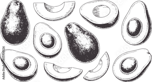 Hand drawn black and white avocado collection in various cuts and views outline