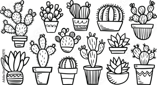 Hand Drawn Cactus and Succulent Doodle Set Vector Illustration