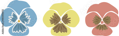3種類のパンジーの花のイラストセット