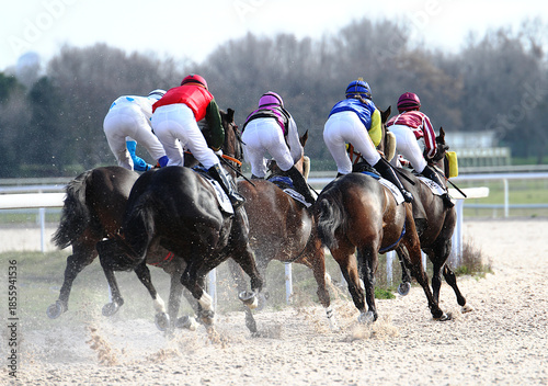 Tableau sur toile Carrera de caballos purasangre a galope en grupo en pista de arena en hipódromo