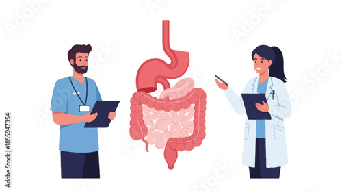 medical professionals discussing digestive system health with detailed gastrointestinal illustration