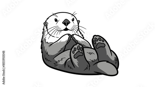 Illustration of a Seal Lying on Back.