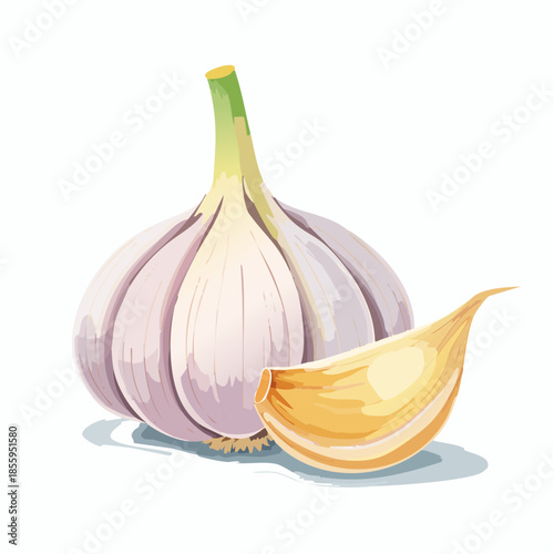 Illustration of a bulb of garlic with a single clove beside it.