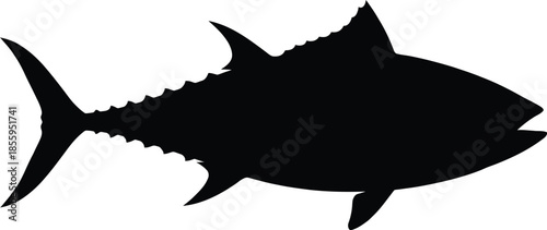 Tuna Silhouette Vector Illustration on White Background