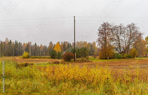 Rural Autumn Landscape with Electric Pole and Farm House