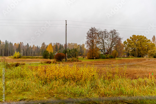 Autumn Rural Landscape Under Overcast Sky