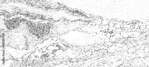 Vintage abstract rock strata pattern with organic wave lines textured. sandstone sedimentary rock formation natural earth strata background.