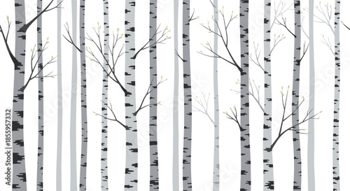 Seamless pattern of white birch trees with thin black branches and tiny green buds creating a forest effect for backgrounds.