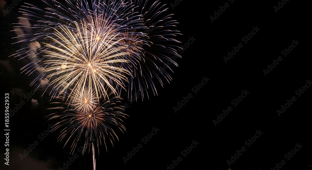 Obraz premium Several bright firework burst against a dark night sky, representing celebration, festivity, and momentous occasion with available free space
