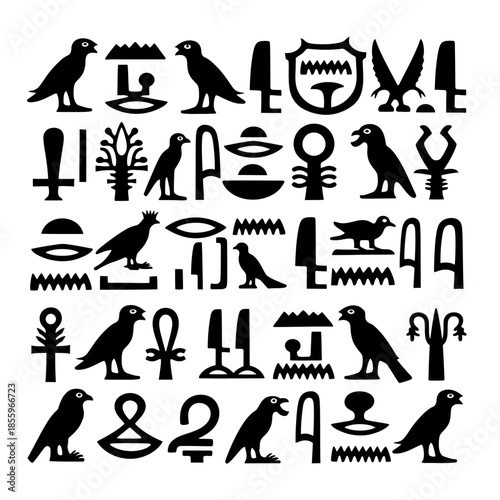 A detailed collection of ancient Egyptian hieroglyphic symbols featuring birds, geometric shapes, and various other pictograms, representing an ancient writing system.