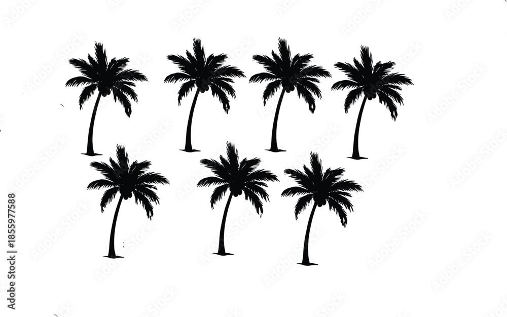 Obraz premium Palm tree silhouette collection, tropical nature icons, summer beach elements, black vector palm shapes, 