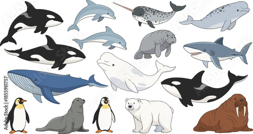Set of cute hand drawn marine animals including orca whale dolphin shark polar bear penguin seal narwhal and walrus vectors.