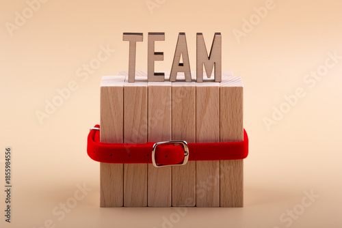 The word TEAM is made from wooden letters on a group of blocks connected by a red belt on beige background. Teamwork unity concept
