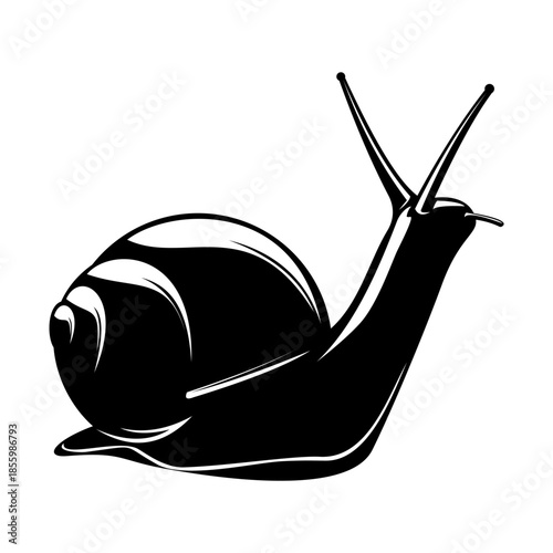 Detailed Snail Siljouette Vector Art, an Isolated Black and White Illustration of a Gastropod. Perfect as an EPS File for Logos, Graphics, and Nature-Themed Designs.