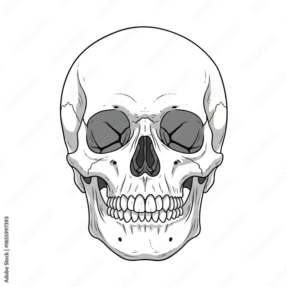 Fototapeta premium Print