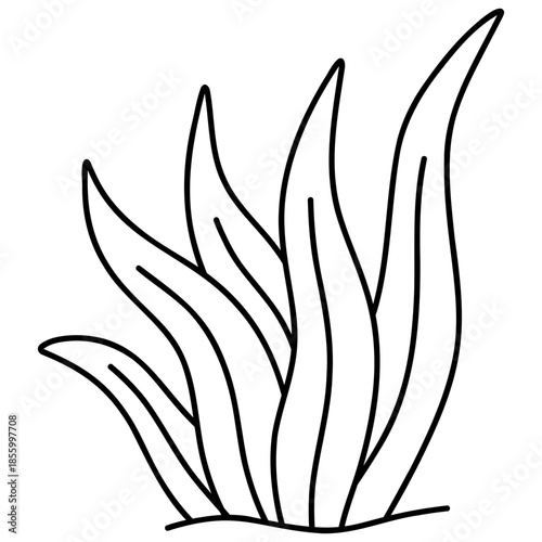 plant leaf underwater