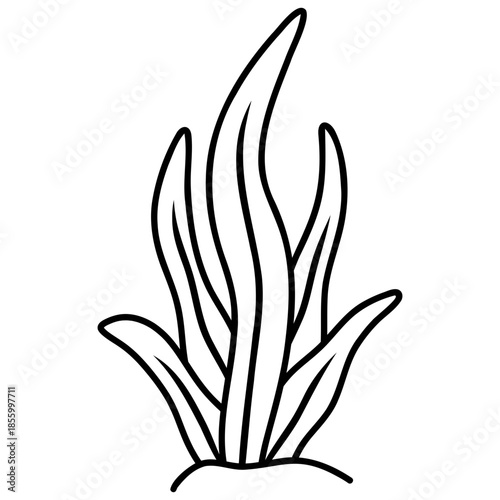 plant leaf vector illustration