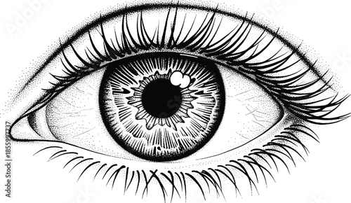 Detailed Human Eye Anatomy Illustration with Stipple Shading and Pointillism Texture in Black and White Cad Drawing Flat Vector Illustration