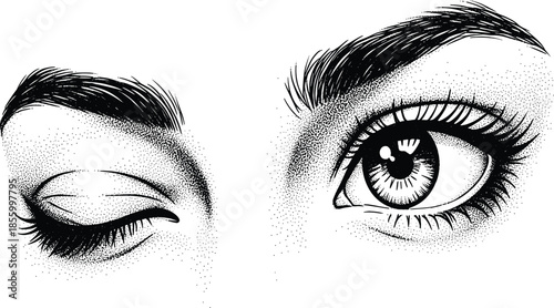 Detailed human eyes with one eye open and one eye closed winking stippling art vector illustration featuring expressive gaze cad drawing flat vector illustration