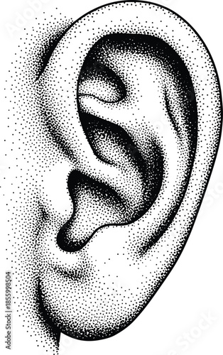 Human Ear Anatomy Illustration with Stipple Shading and Pointillism Texture in Black and White Cad Drawing Flat Vector Illustration Style