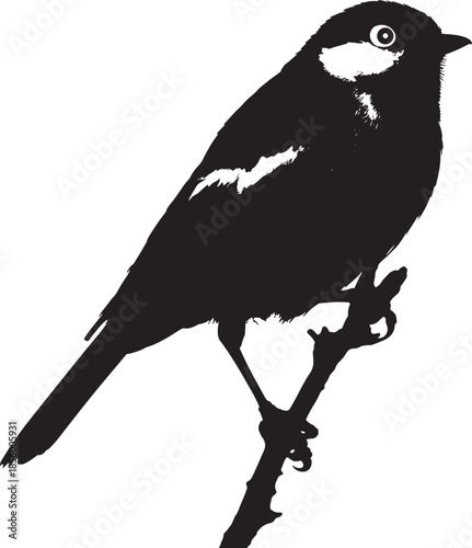 Bird perched on a branch